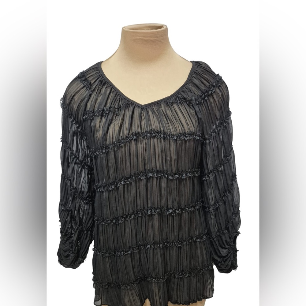 Blu Pepper Black Sheer Blouse